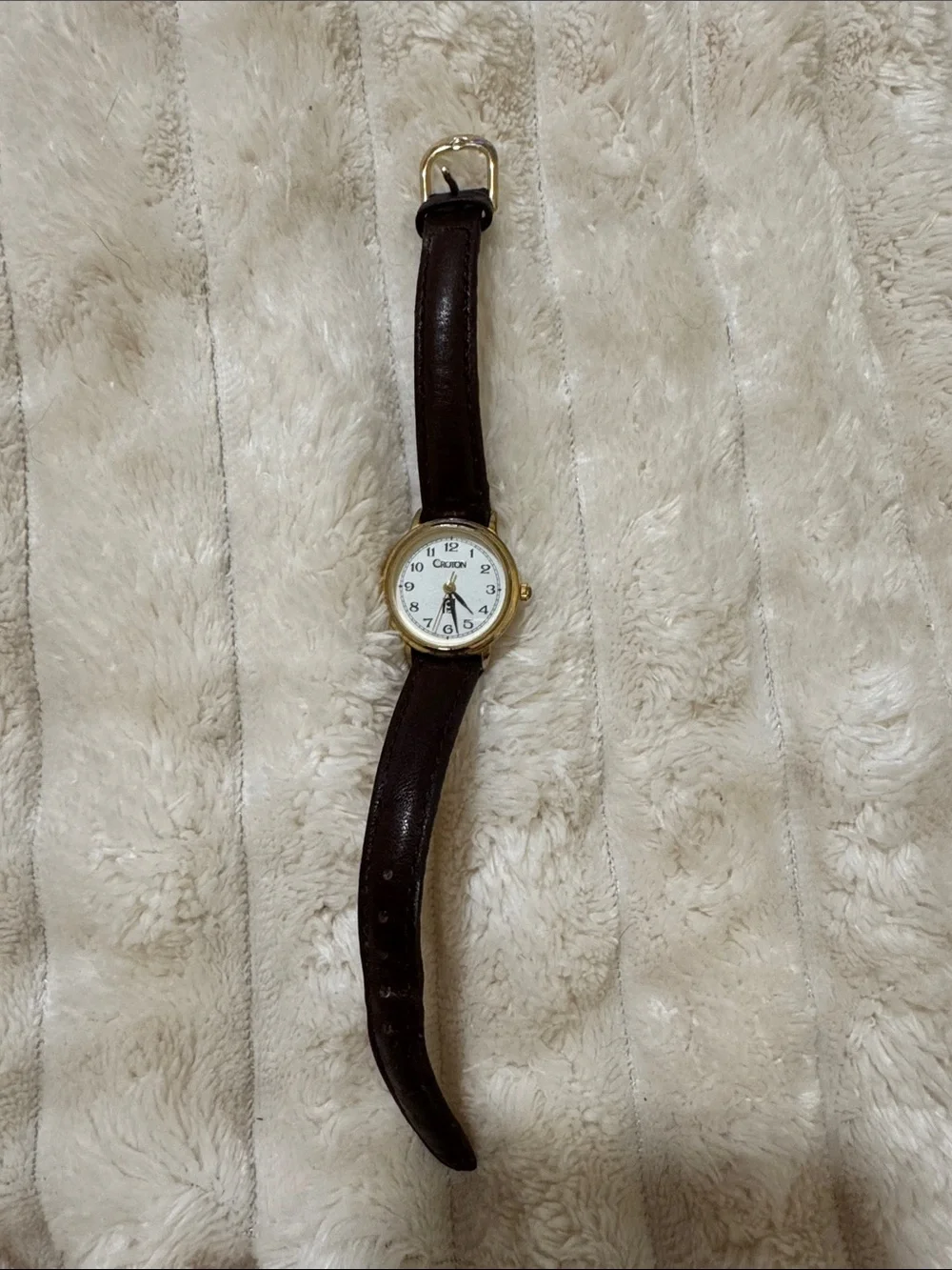 Croton vintage publix